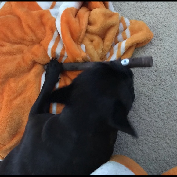 Meet your Posher, Debi - Picture 12 of 15